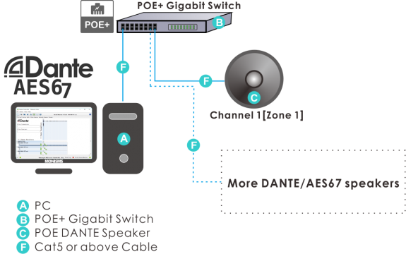 1 Channel, Only Master DANTE Speaker.